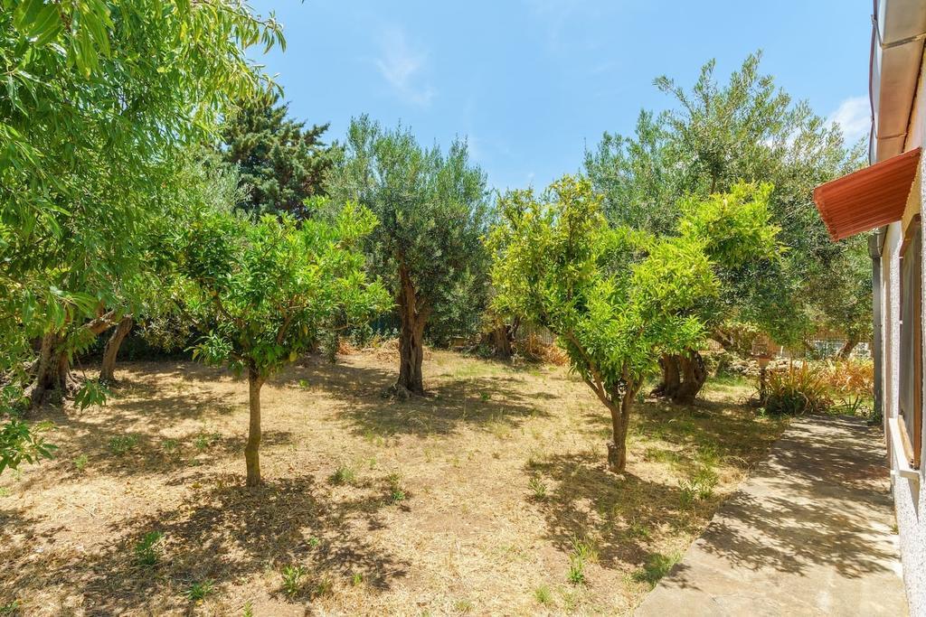Oasi Apartments Scopello  Kültér fotó